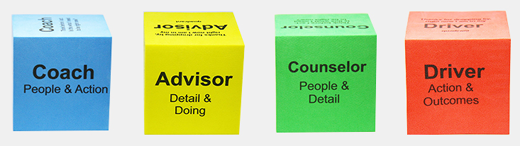 leadership platform, leader experience platform, leadership development, leadership skills, leadership tools, leadership training, leadership techniques, Keep it Alive leadership Cubes