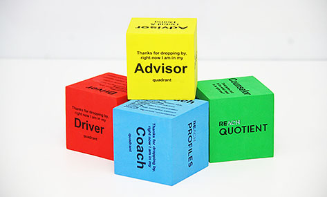 leadership platform, leader experience platform, leadership development, leadership skills, leadership tools, leadership training, leadership techniques, Keep it Alive leadership Cubes
